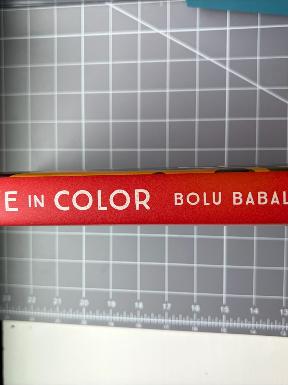 Love in Color by Bolu Babalola - Picture 3 of 3